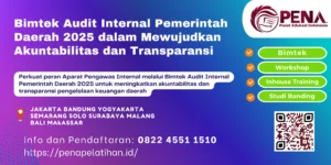 Bimtek Audit Internal Pemerintah Daerah 2025